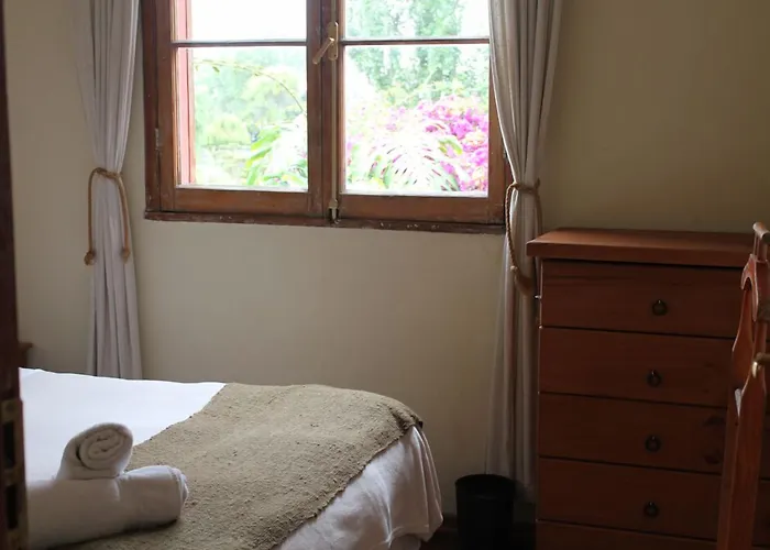 El Arbol Hostel La Serena